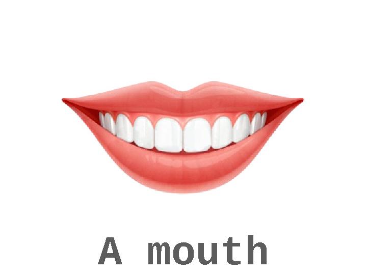 A mouth