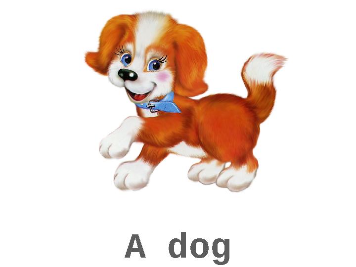 A dog