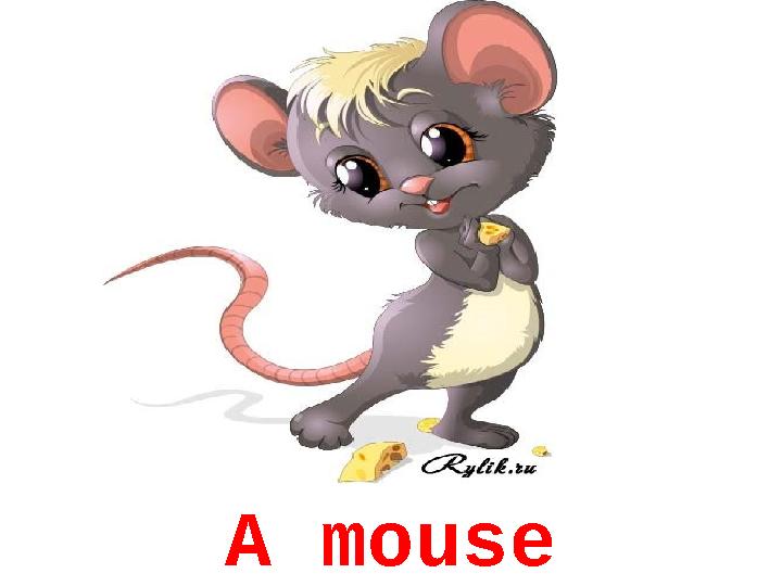 A mouse