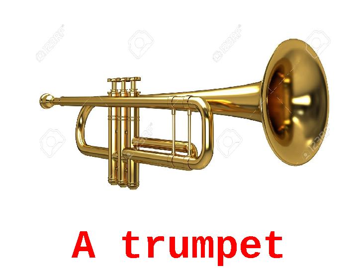 A trumpet