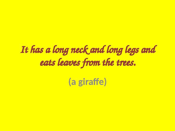 It has a long neck and long legs and eats leaves from the trees. (a giraffe)