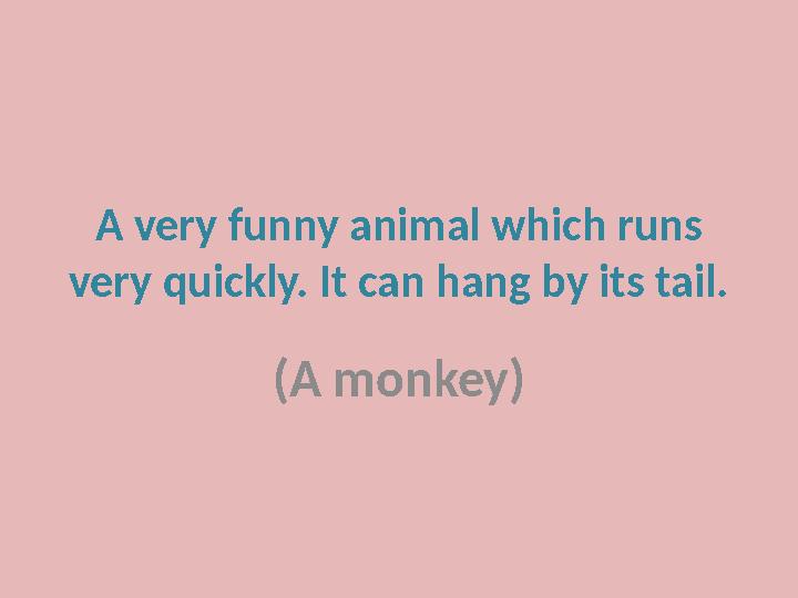 A very funny animal which runs very quickly. It can hang by its tail. (A monkey)