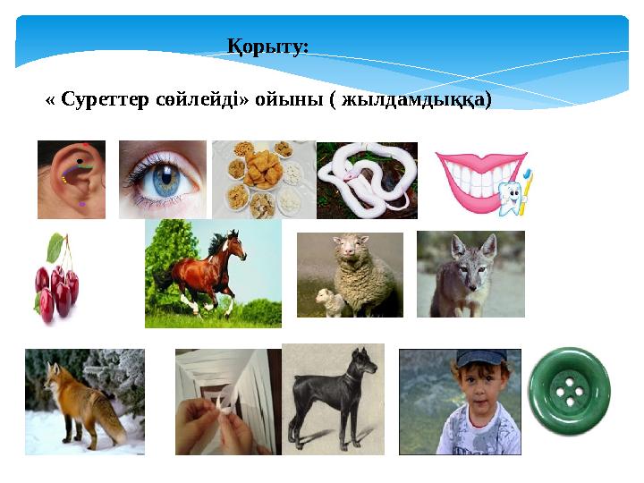 Қорыту: « Суреттер сөйлейді» ойыны ( жылдамдыққа)