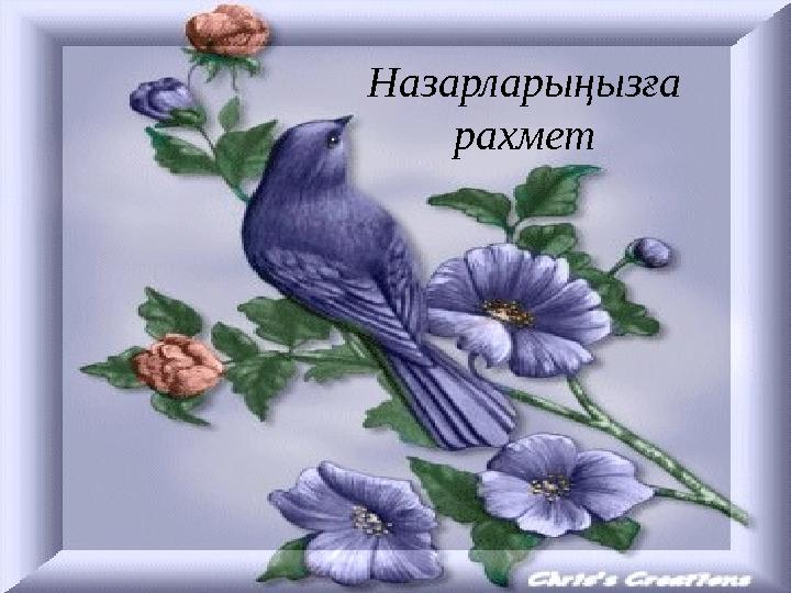 Назарларыңызға рахмет