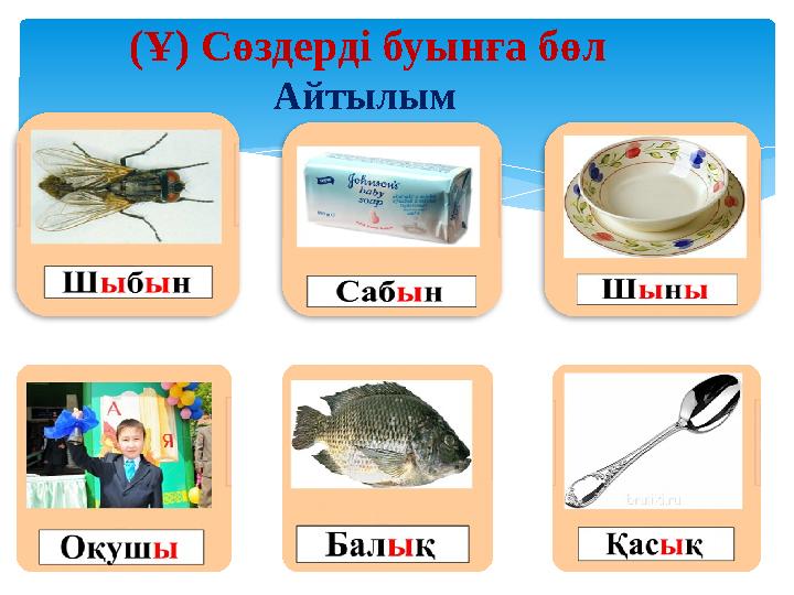 ( Ұ) Сөздерді буынға бөл Айтылым