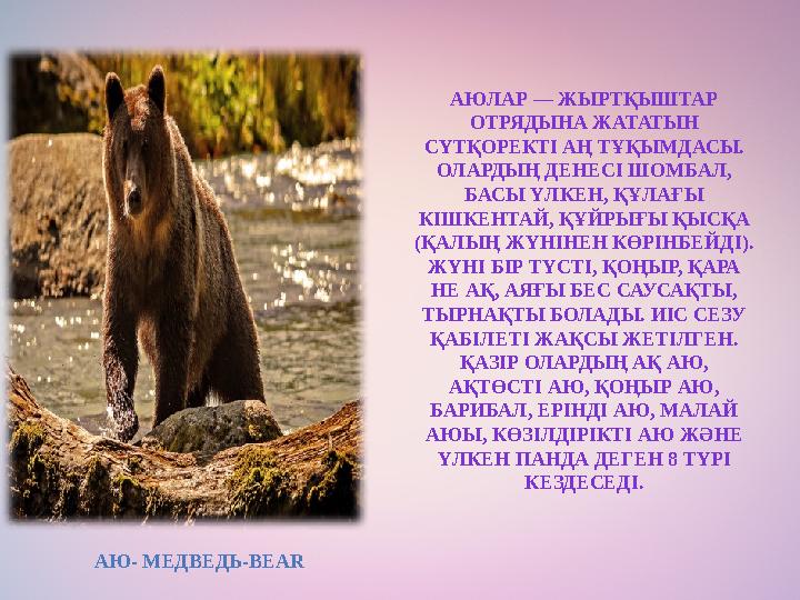 АЮЛАР — ЖЫРТҚЫШТАР ОТРЯДЫНА ЖАТАТЫН СҮТҚОРЕКТІ АҢ ТҰҚЫМДАСЫ. ОЛАРДЫҢ ДЕНЕСІ ШОМБАЛ, БАСЫ ҮЛКЕН, ҚҰЛАҒЫ КІШКЕНТАЙ, ҚҰЙРЫҒЫ Қ