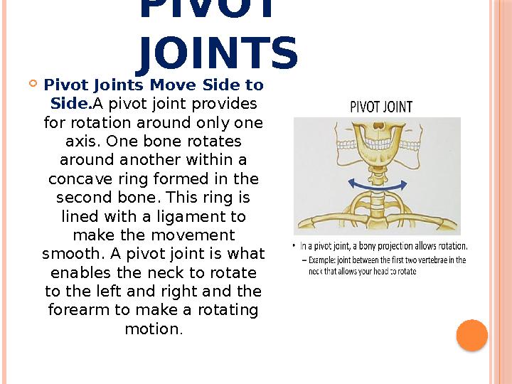 PIVOT JOINTS  Pivot Joints Move Side to Side . A pivot joint provides for rotation around only one axis. One bone rotates