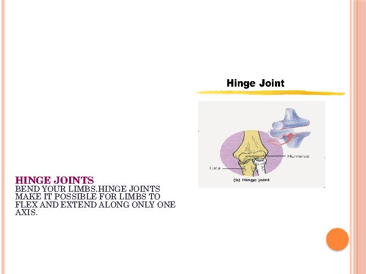 HINGE JOINTS BEND YOUR LIMBS . HINGE JOINTS MAKE IT POSSIBLE FOR LIMBS TO FLEX AND EXTEND ALONG ONLY ONE AXIS .