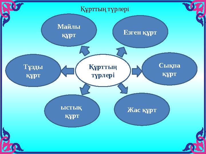 Құрттың түрлеріМайлы құрт ыстық құрт Жас құртЕзген құрт Құрттың түрлері Тұзды құрт Сықпа құрт