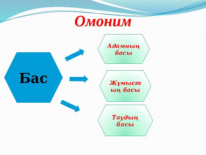 Омоним Бас Адамның басы Жұмыст ың басы Таудың басы