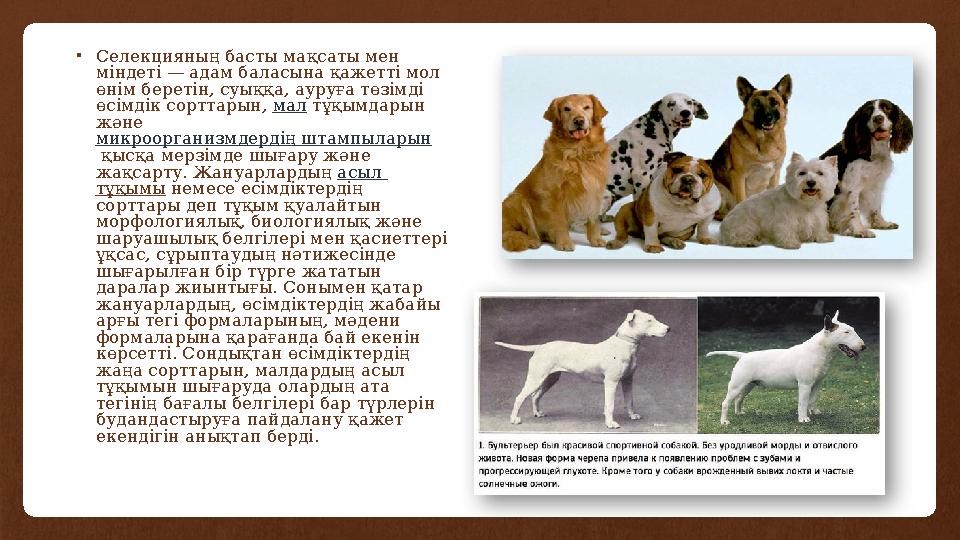 •Селекцияның басты мақсаты мен міндеті — адам баласына қажетті мол өнім беретін, суыққа, ауруға төзімді өсімдік сорттарын, ма