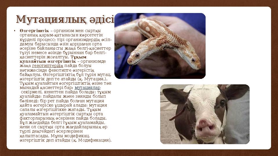 Мутациялық әдісі •Өзгергіштік – организм мен сыртқы ортаның қарым-қатынасын көрсететін күрделі процесс; тірі организмдердің ө