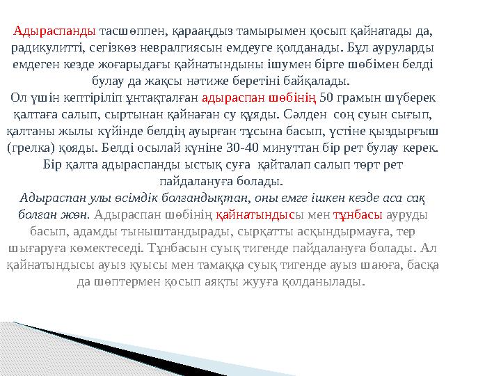 Адыраспанды тасшөппен, қарааңдыз тамырымен қосып қайнатады да, радикулитті, сегізкөз невралгиясын емдеуге қолданады. Бұл ау