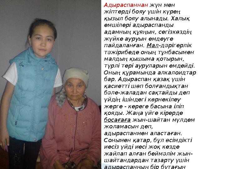 Адыраспаннан жүн мен жіптерді бояу үшін күрең қызыл бояу алынады . Халық емшілері адыраспанды адамның құяңын, сегізкөзді