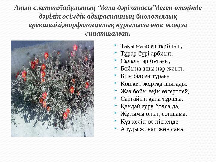 Ақын с.кеттебайұлының “дала дәріханасы”деген өлеңінде дәрілік өсімдік адыраспанның биологиялық ерекшелігі,морфологиялық құрылы