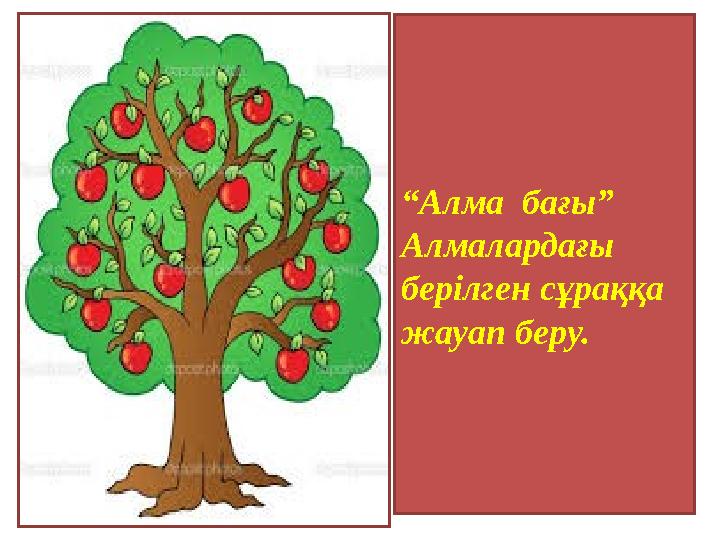 “ Алма бағы” Алмалардағы берілген сұраққа жауап беру.