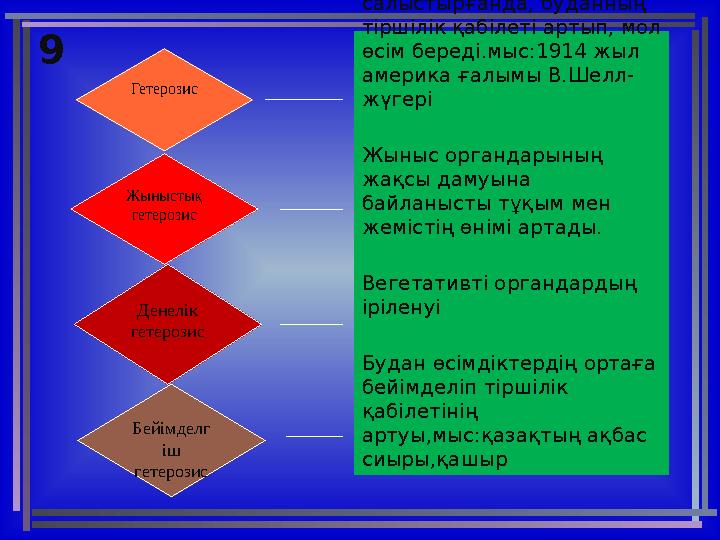 9 Ата –анасымен салыстырғанда, буданның тіршілік қабілеті артып, мол өсім береді.мыс:1914 жыл америка ғалымы В.Шелл- жүгері