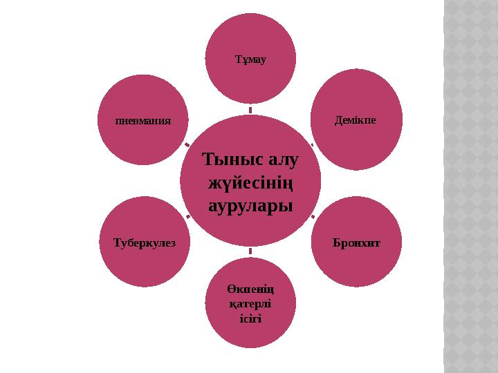 Тыныс алу жүйесінің аурулары Тұмау Демікпе Бронхит Өкпенің қатерлі ісігіТуберкулез пневмания