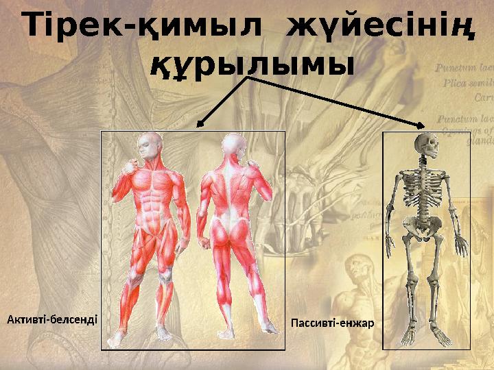 Қолмен жұмыс