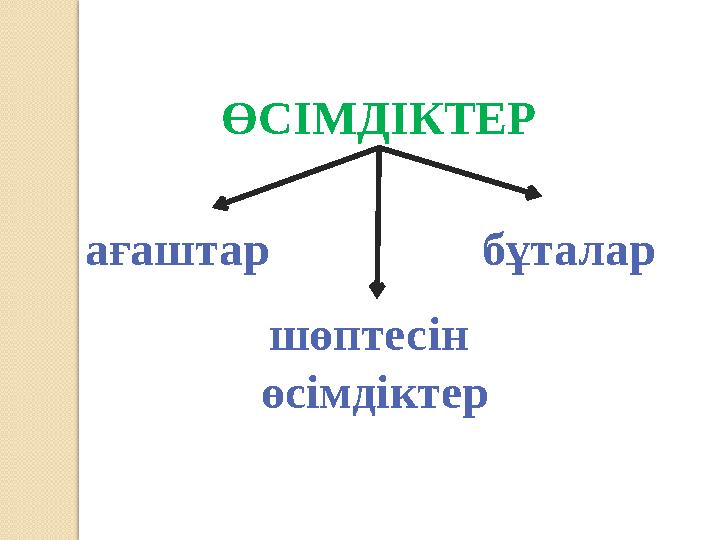 ӨСІМДІКТЕР ағаштар бұталар шөптесін өсімдіктер