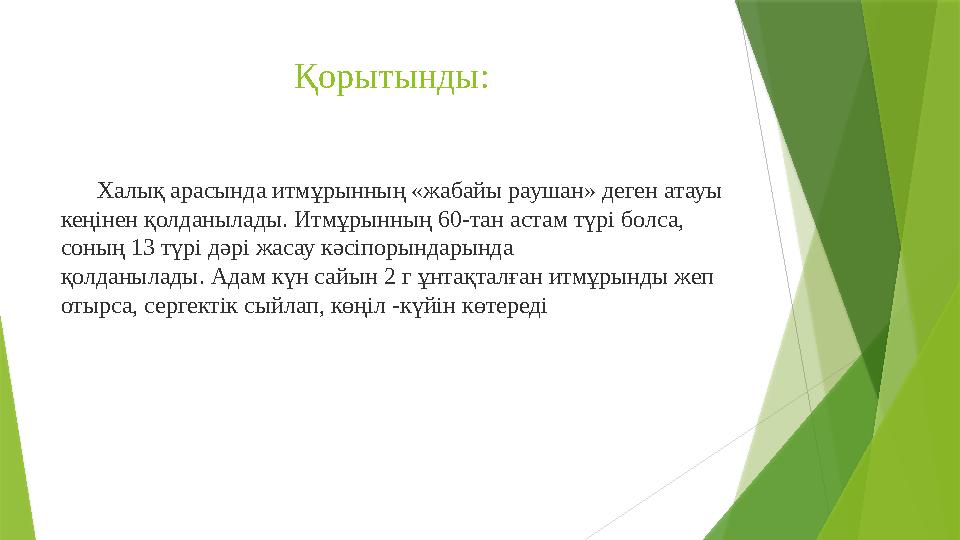 Қорытынды: Халық арасында итмұрынның «жабайы раушан» деген атауы кеңінен қолданылады. Итмұрынның 60-тан астам т