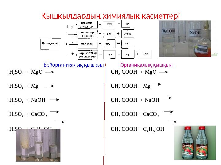 Қышқылдардың химиялық қасиеттері H 2 SO 4 + MgO H 2 SO 4 + Mg H 2 SO 4 + NaOH H 2 SO 4 + CaCO 3 H 2 SO 4 + C 2