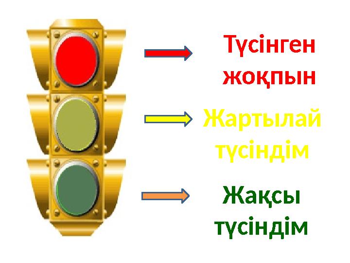 Түсінген жоқпын Жартылай түсіндім Жақсы түсіндім