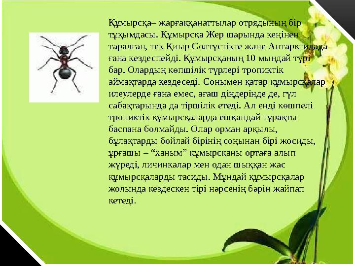 Ешектегі дик Порно фото және әпкелердің секс фотосуреттері