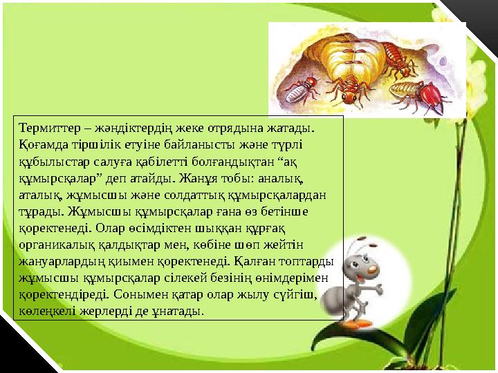 Көз жасына әуесқой секс онлайн көру