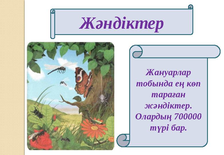 Жәндіктер Жануарлар тобында ең көп тараған жәндіктер. Олардың 700000 түрі бар.