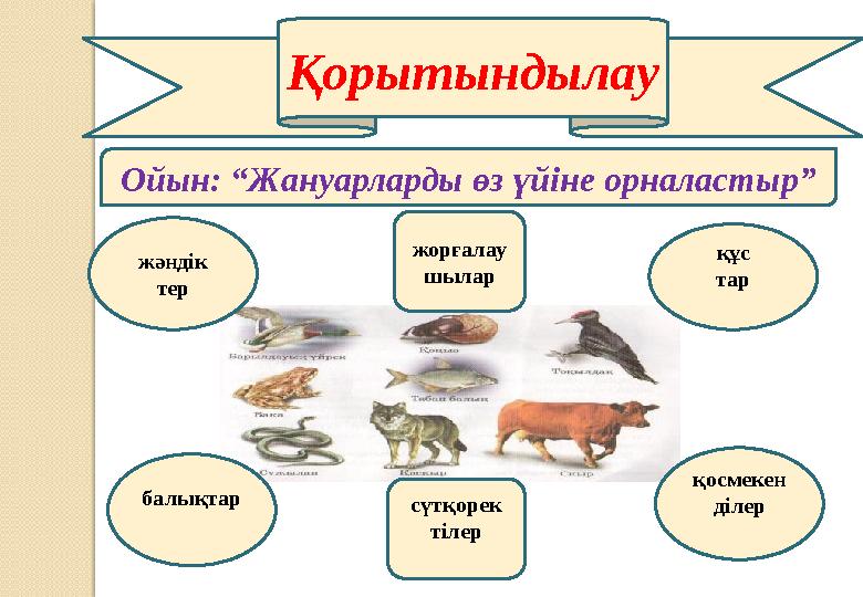 Қорытындылау Ойын: “Жануарларды өз үйіне орналастыр” жорғалау шылар жәндік тер құс тар қосмекен ділерсүтқорек тілер балықтар