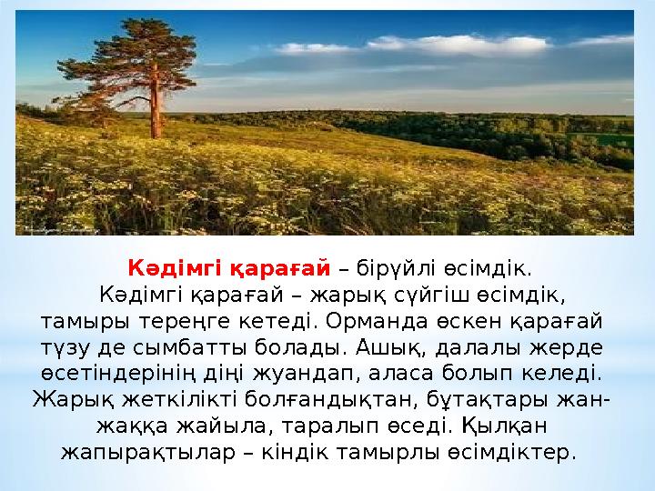 Кәдімгі қарағай – бірүйлі өсімдік. Кәдімгі қарағай – жарық сүйгіш өсімдік, тамыры тереңге кетеді. Орманда өскен қарағай