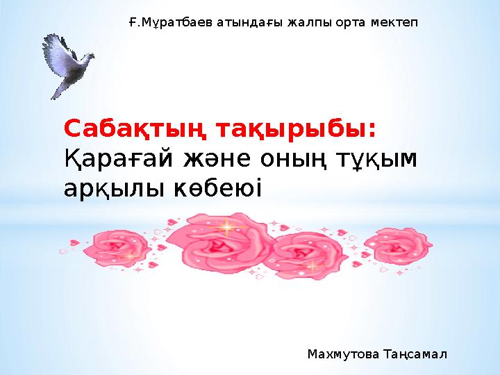 Ғ.Мұратбаев атындағы жалпы орта мектеп Сабақтың тақырыбы: Қарағай және оның тұқым арқылы көбеюі