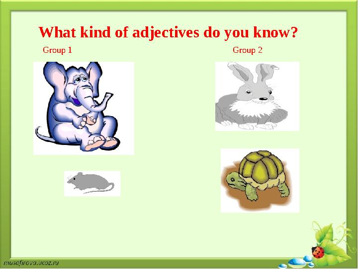 Group 1 Group 2 What kind of adjectives do you know?