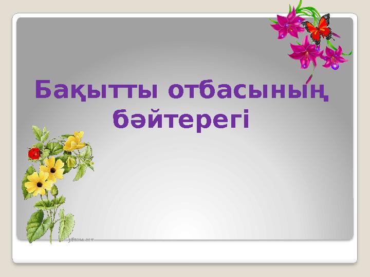 Бақытты отбасының бәйтерегі