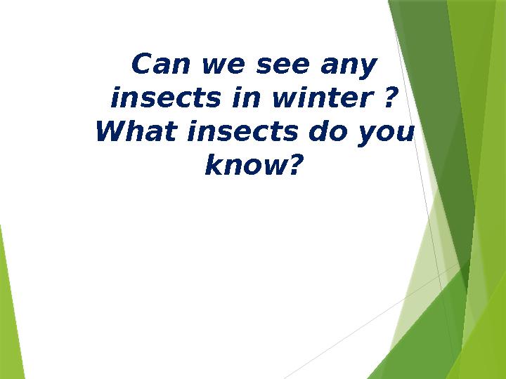 Can we see any insects in winter ? What insects do you know?