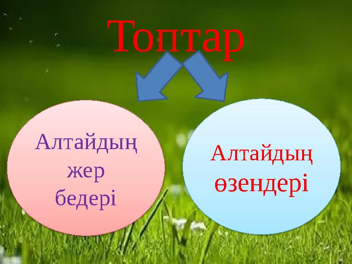 Топтар Алтайдың жер бедері Алтайдың өзендері