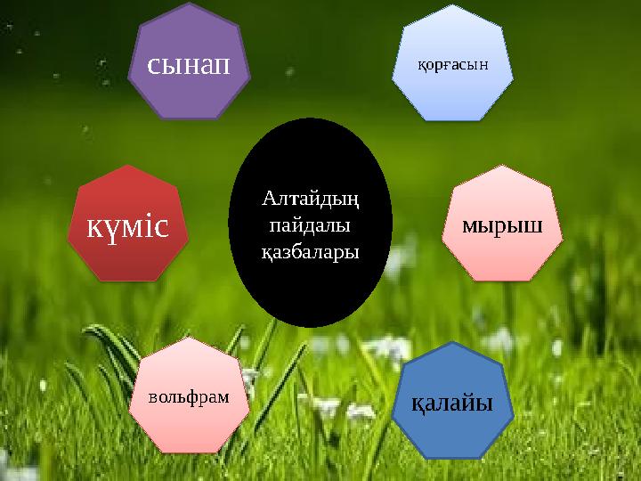 Алтайдың пайдалы қазбалары сынап күміс вольфрам қалайы қорғасын мырыш