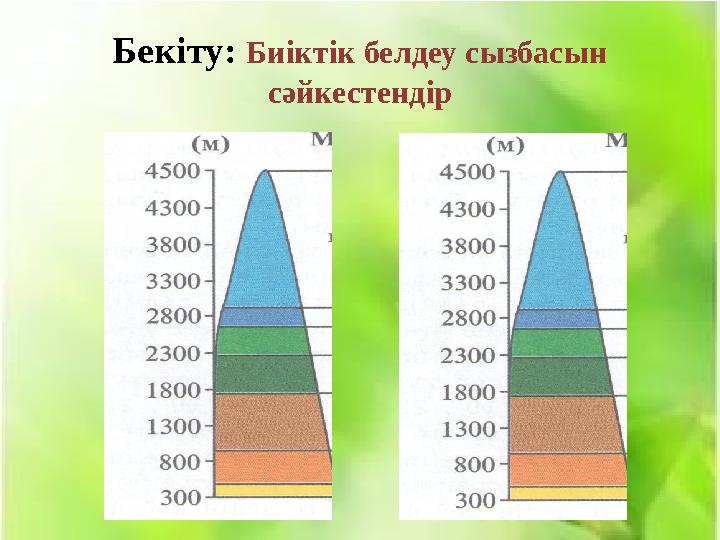 Бекіту: Биіктік белдеу сызбасын сәйкестендір