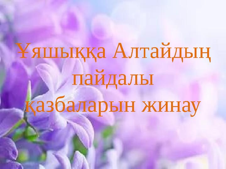 Ұяшыққа Алтайдың пайдалы қазбаларын жинау