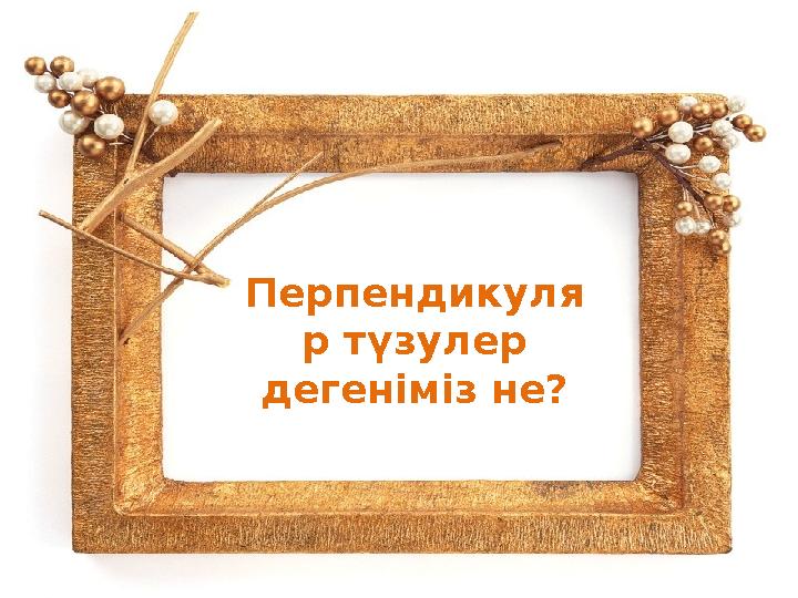 Перпендикуля р түзулер дегеніміз не?