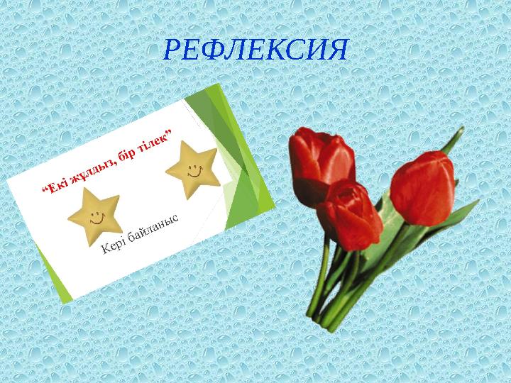 РЕФЛЕКСИЯ