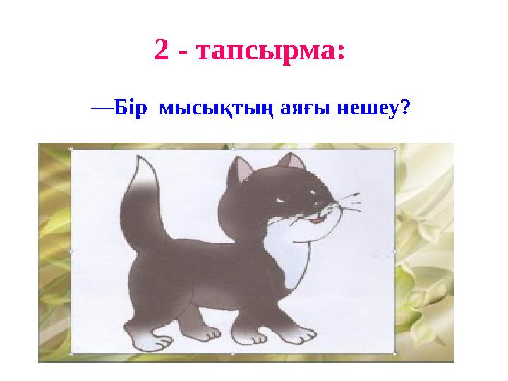 2 - тапсырма: —Бір мысықтың аяғы нешеу?