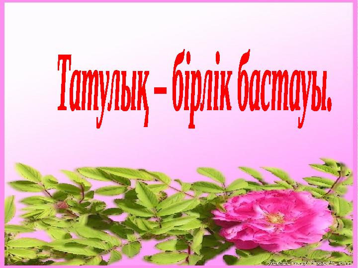 Бұзық әйелдер дәретханасында Алета мұхитын ұстап алып, трахает етеді. Үлкен кеудесі бар томпақ әйел