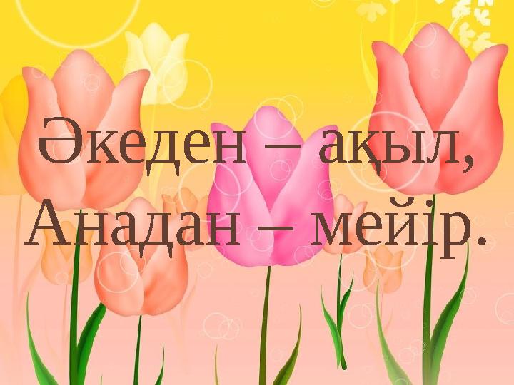 Әкеден – ақыл, Анадан – мейір.