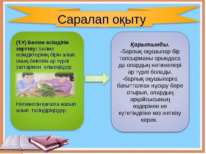 C аралап оқыту (Т.Ұ) Бөлме өсімдігін зерттеу: Бөлме өсімдіктерінің бірін алып, оның биіктігін әр түрлі заттармен өлшеңізд