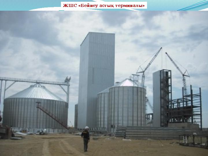 ЖШС «Бейнеу астық терминалы»