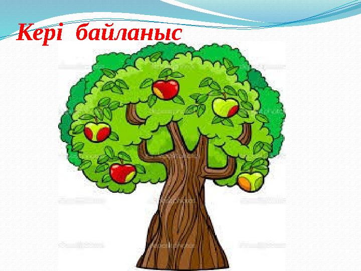 Кері байланыс