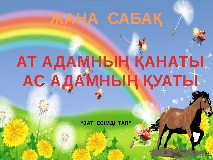 ЖАҢА САБАҚ АТ АДАМНЫҢ ҚАНАТЫ АС АДАМНЫҢ ҚУАТЫ “ЗАТ ЕСІМДІ ТАП”