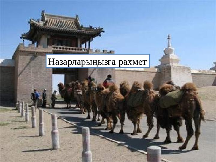 Назарларыңызға рахмет